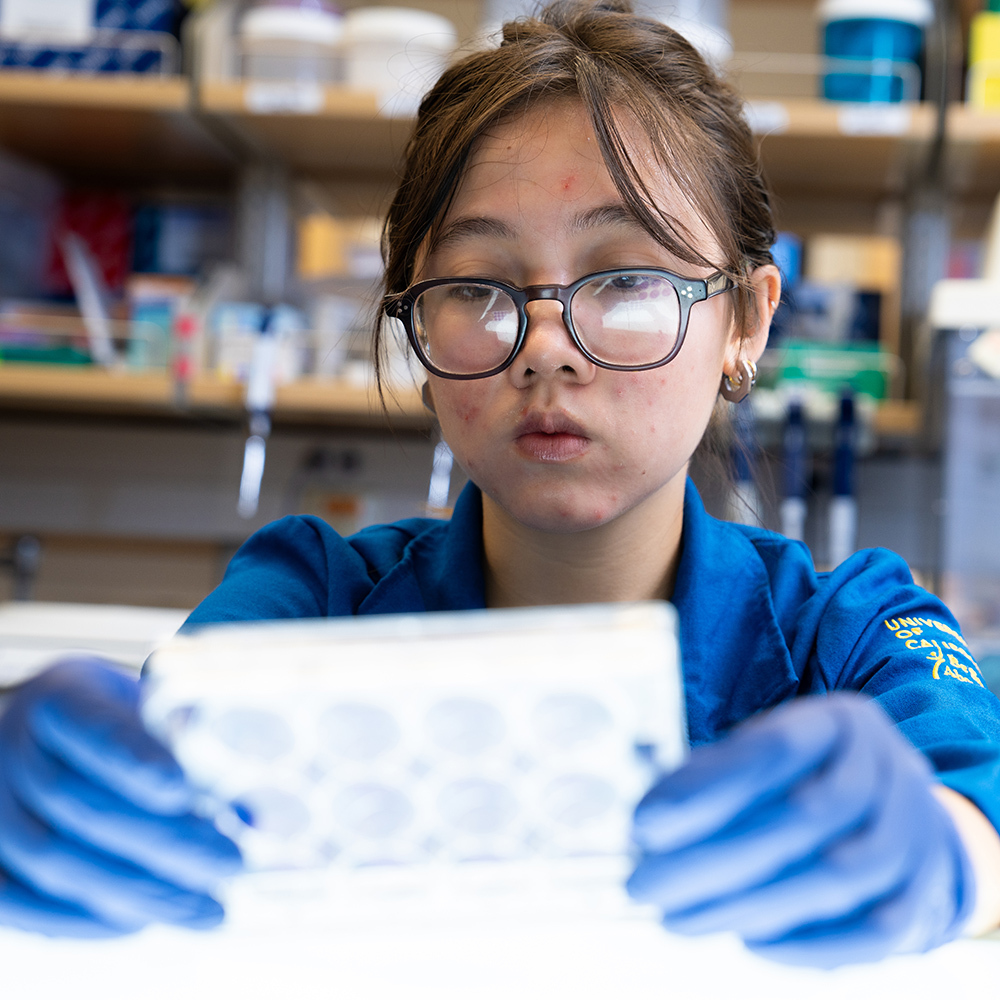 Researcher in a blue lab coat using a pipette in a laboratory setting, with lab equipment and supplies visible on the bench.