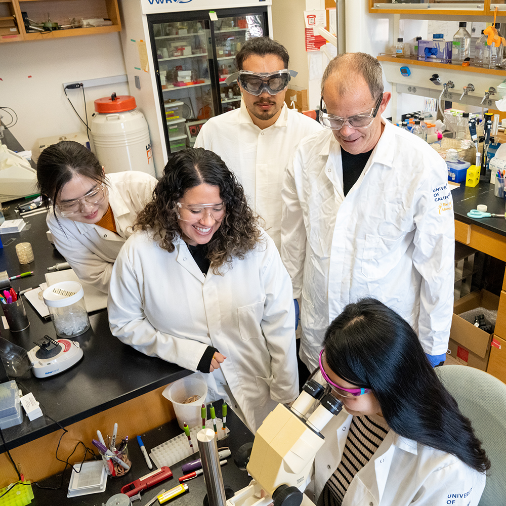 Five researchers in lab coats and safety goggles gather around a microscope in a busy laboratory. One person is seated and looking into the microscope while the others stand nearby, smiling and observing. The lab bench is cluttered with tools, notes, and scientific equipment, reflecting an active and collaborative research environment. Shelves, glassware, and a refrigerator stocked with supplies fill the background. The mood is focused yet upbeat, suggesting a shared moment of discovery or learning.