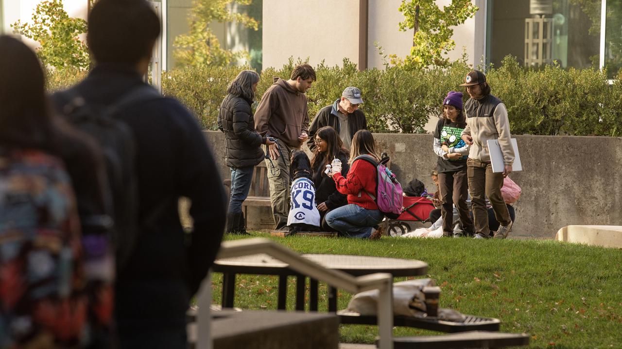Students gather on a grassy area outside a campus building, interacting with therapy dogs and their handlers. One black dog wears a “K9 Comfort” vest while people pet and talk with it. Some students are seated or kneeling, smiling and holding coffee, while others stand nearby. In the foreground, more students walk past or observe the scene. Tables and fallen leaves are visible, suggesting a casual and relaxed outdoor event.