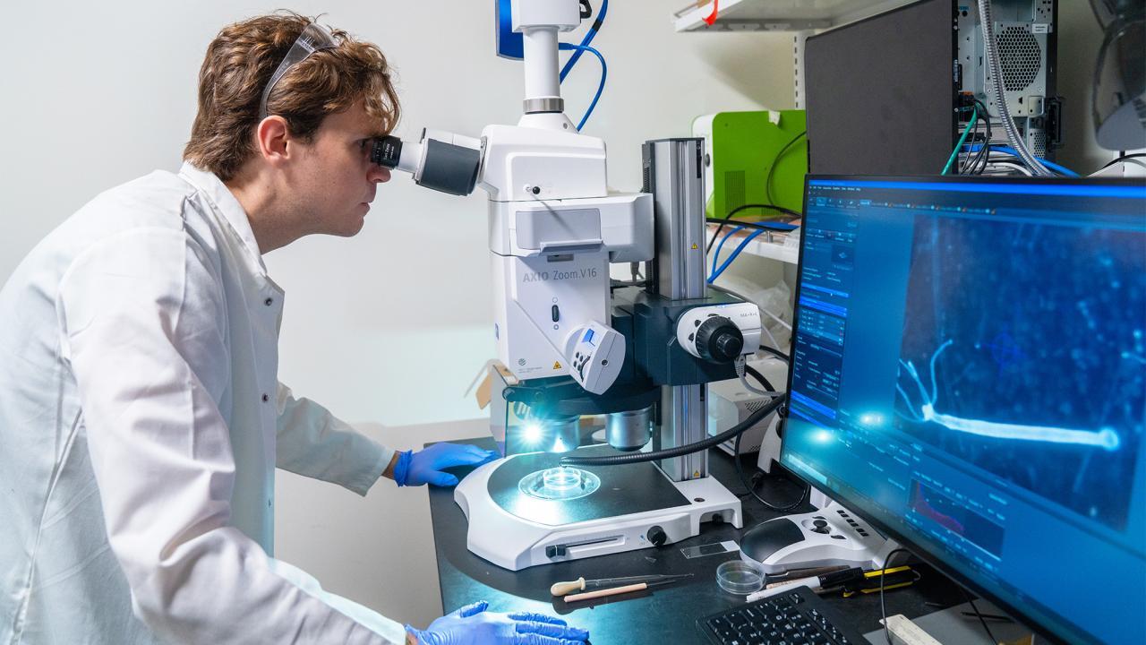 Laboratory photo — scientist at microscope beside monitor displaying blue cellular image