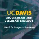 A promotional graphic for UC Davis Molecular and Cellular Biology's 'Work in Progress Seminars.' The background shows rows of laboratory fish tanks containing zebrafish, with the text overlaid in bold yellow and white fonts.