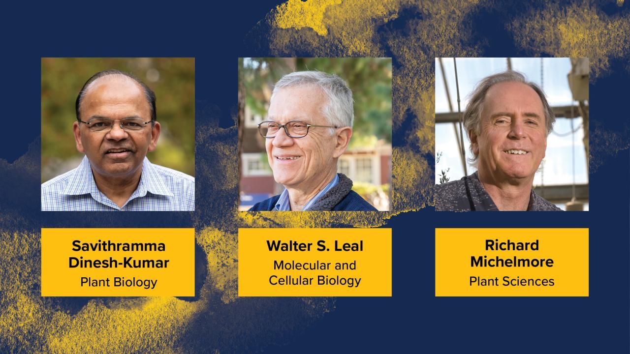 NAS Elected Professors